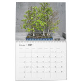 Kalender 2025 met Bonsai (Jan 2027)