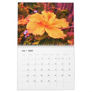 Kalender 2025 met fotografie van Lindsay Strong