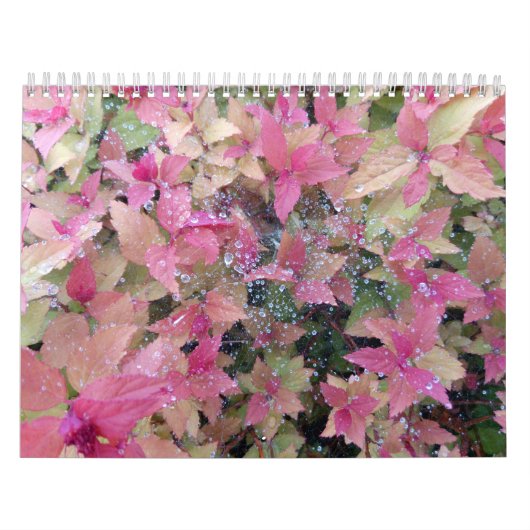 Kalender 2025 met foto's van de natuur (Hoes)