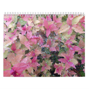 Kalender 2025 met foto's van de natuur