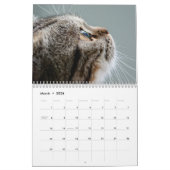 Kalender 2025 Paws en Whiskers (Mar 2026)