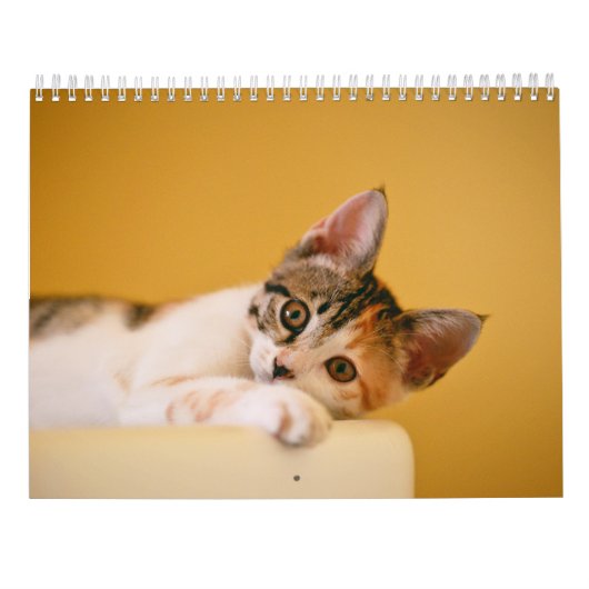 Kalender 2025 Paws en Whiskers (Achterkant)