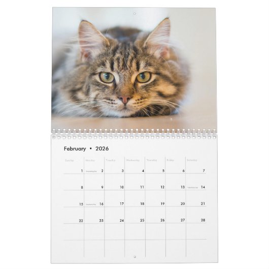 Kalender 2025 Paws en Whiskers (Feb 2026)
