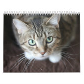 Kalender 2025 Paws en Whiskers (Hoes)