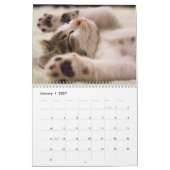Kalender 2025 Paws en Whiskers (Jan 2027)