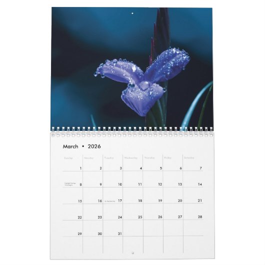 Kalender 2025 Violet Flowers (Mar 2026)