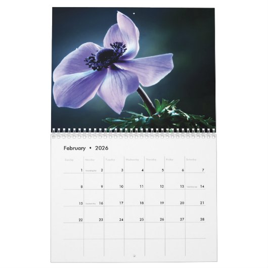 Kalender 2025 Violet Flowers (Feb 2026)