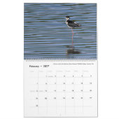 Kalender 2025 - Vogelfoto's van Tom Spine (Feb 2027)