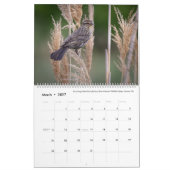 Kalender 2025 - Vogelfoto's van Tom Spine (Mar 2027)