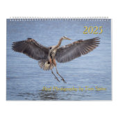 Kalender 2025 - Vogelfoto's van Tom Spine (Hoes)