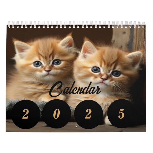 Kalender 2025 voor kattenliefhebbers - jaar (Hoes)