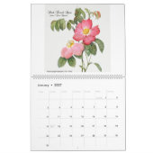 Kalender 2026 - Les Roses - P.J. Redouté (Jan 2027)