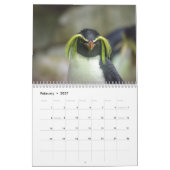 Kalender 20xx - Antarctica (Feb 2027)