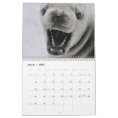 Kalender 20xx - Antarctica (Mar 2027)