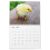 Kalender 20xx - Vogels (Mar 2027)