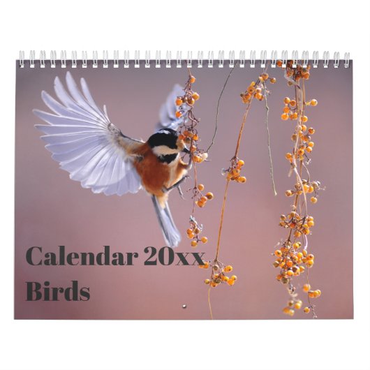 Kalender 20xx - Vogels (Hoes)