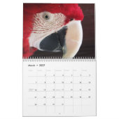 Kalender 20xx - Zuid-Amerika (Mar 2027)