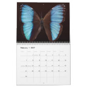 Kalender 20xx - Zuid-Amerika (Feb 2027)