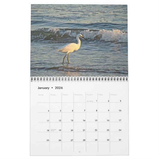 Kalender aan de wal #3 (Jan 2026)