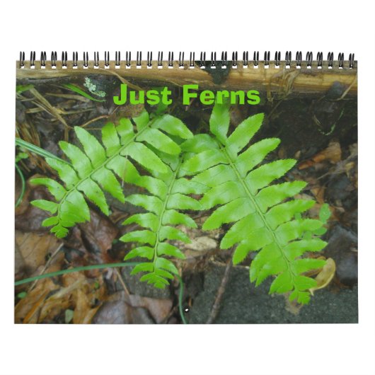Kalender - alleen Ferns (Hoes)