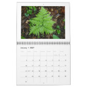 Kalender - alleen Ferns (Jan 2027)