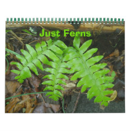 Kalender - alleen Ferns
