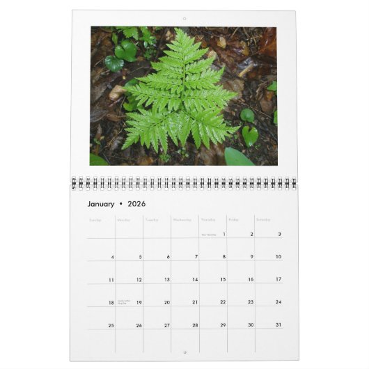 Kalender - alleen Ferns (Jan 2026)