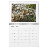 Kalender - alleen Ferns (Mar 2026)