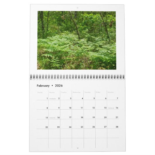 Kalender - alleen Ferns (Feb 2026)