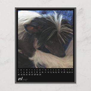 kalender april 2012