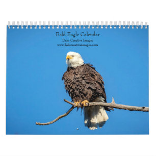 Kalender Bald Eagle 2025