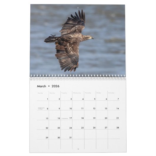 Kalender Bald Eagle 2026 (Mar 2026)