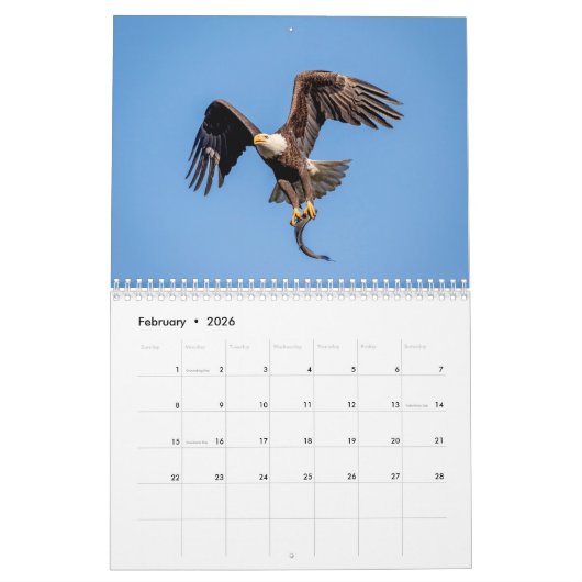 Kalender Bald Eagle 2026 (Feb 2026)