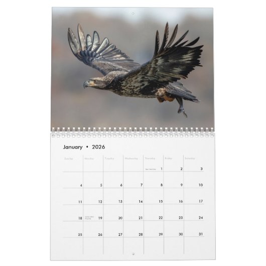 Kalender Bald Eagle 2026 (Jan 2026)