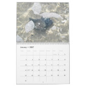 Kalender - Beach TreasUR (Jan 2027)