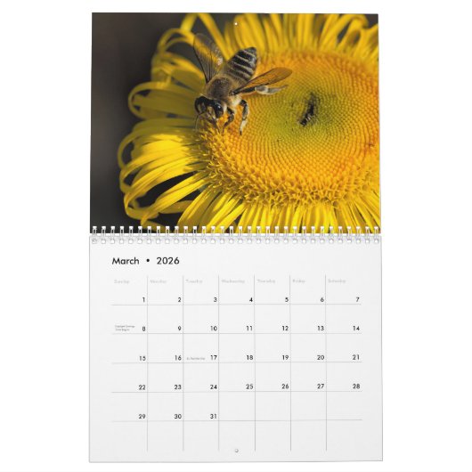 Kalender Bee 2025 (Mar 2026)