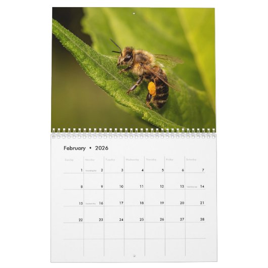 Kalender Bee 2025 (Feb 2026)
