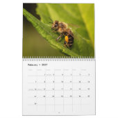 Kalender Bee 2025 (Feb 2027)