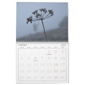 Kalender België | Kalender 2025 België in het Nede (Jan 2027)