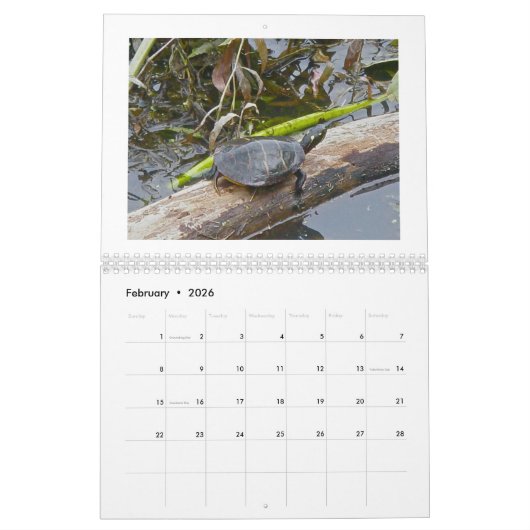 Kalender - bij het Pond (Feb 2026)