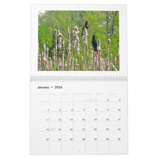 Kalender - bij het Pond (Jan 2026)