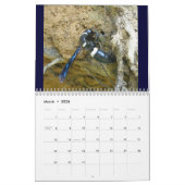 Kalender - Bijen, hoornaars en wespen (Mar 2026)