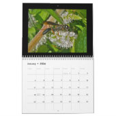 Kalender - Bijen, hoornaars en wespen (Jan 2026)