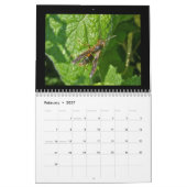 Kalender - Bijen, hoornaars en wespen (Feb 2027)