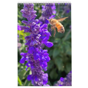 Kalender bijen vlinders