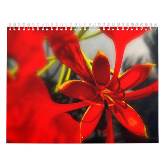 Kalender Bloemen (Hoes)