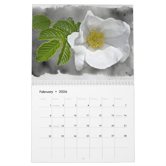 Kalender - Bloemen op achtergronden (Feb 2026)