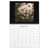 Kalender Capitulare de Villis 2009 (Jan 2027)