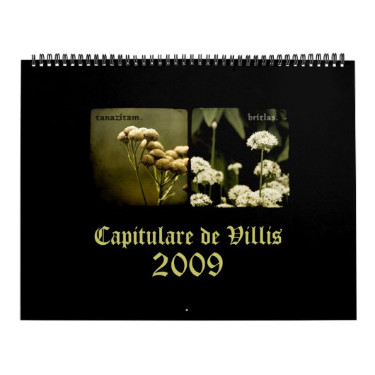 Kalender Capitulare de Villis 2009 (Hoes)