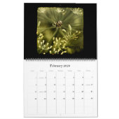 Kalender Capitulare de Villis 2009 (Feb 2026)